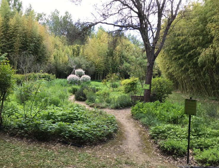 Le Parc Aux Bambous, Lapenne, France